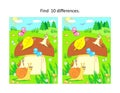 Find ten differences picture puzzle with big yummy mushroom and mom and kids snails